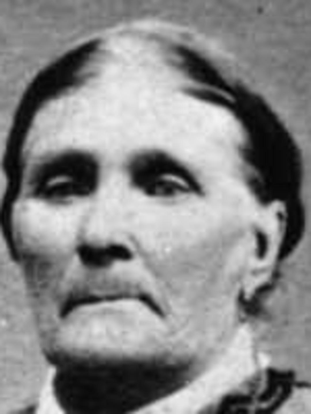 Catherine Elinor Lince (1807 - 1889) Profile